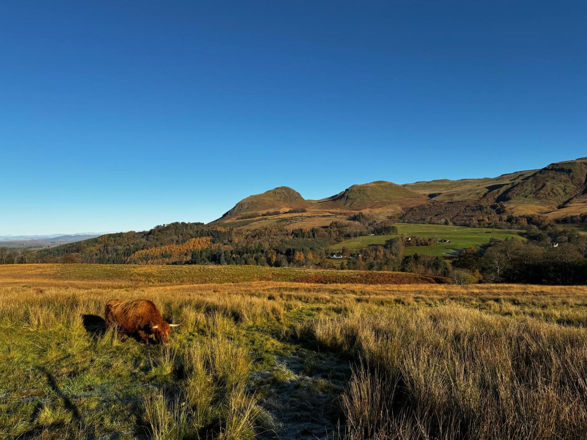 The West Highland Way Pitches Hotel Glasgow Exterior foto